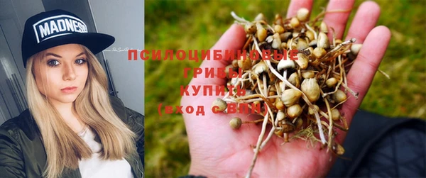 мет Баксан