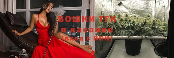 винт Няндома