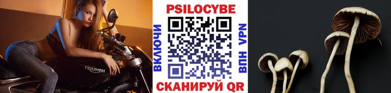 как найти закладки  Лахденпохья  Псилоцибиновые грибы ЛСД 
