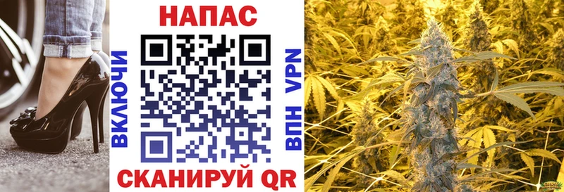 Бошки марихуана планчик  Лахденпохья 